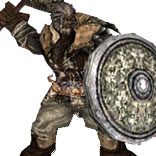 Evil Order Warrior